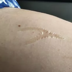 Devant -J. Valentine Catalog Soldes collodion 11 ml 1